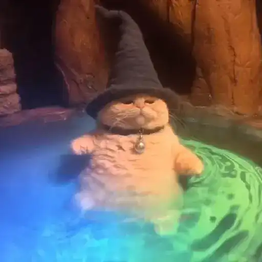 🪄cat wizard 🧙🏻‍♂️🐈‍⬛🔮 18