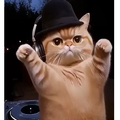 🪄cat wizard 🧙🏻‍♂️🐈‍⬛🔮 25