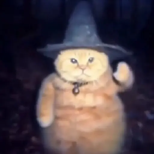 🪄cat wizard 🧙🏻‍♂️🐈‍⬛🔮 29