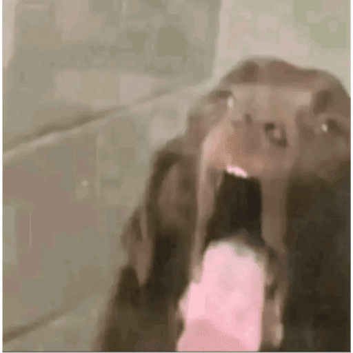 Grr 14