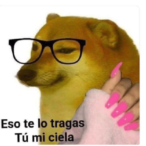 Hambre 22