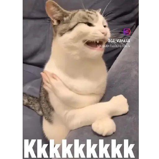Animadas 17
