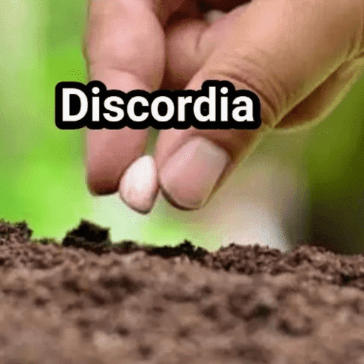 Memes de todo tipo 14