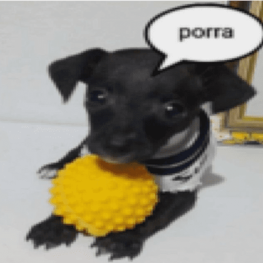 MEMES ESTRANHOS 6