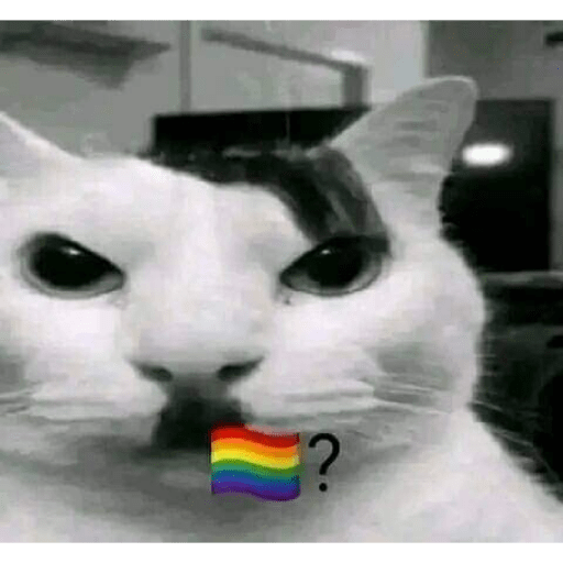 LGBTQ+ meme 3