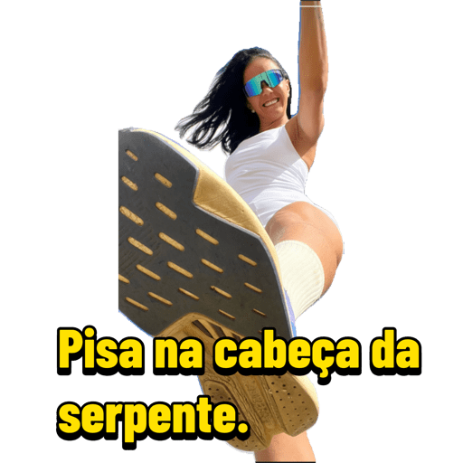 Minhas figurinhas 11