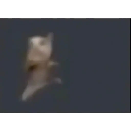 Vidros aleatórios 2