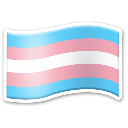 no gay flag emoji copy paste