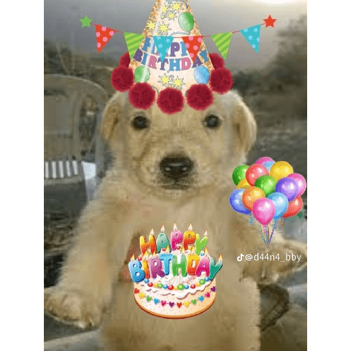 Cumpleaños 🎉 4