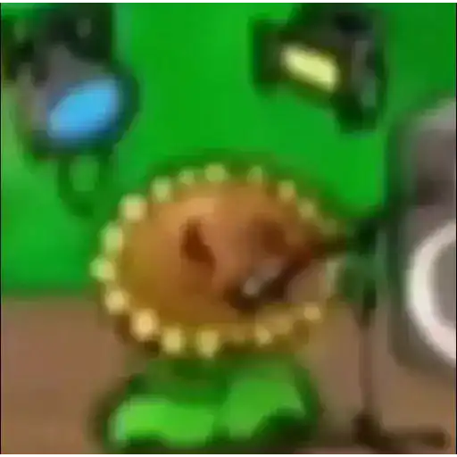 Soessy 9