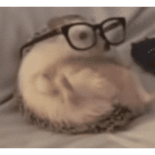 Jijijiji 20