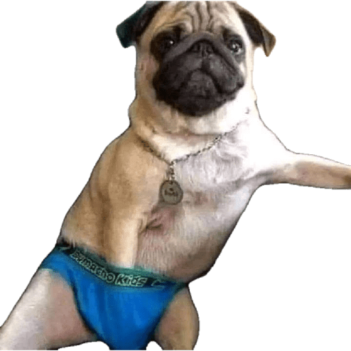 Memes 2025 24