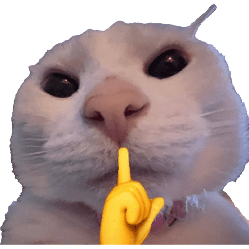 Memes 2025 22