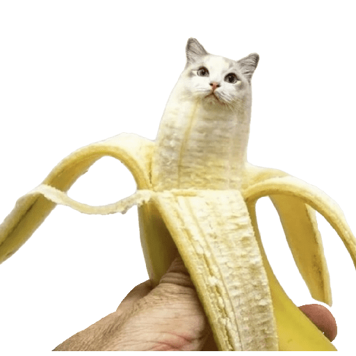 Memes 2025 12