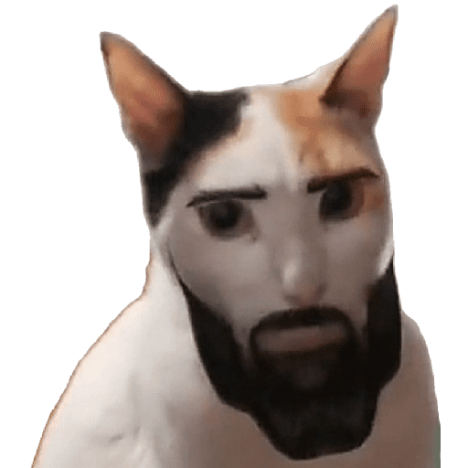 Memes 2025 9