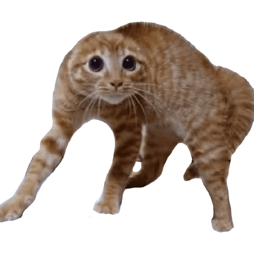 Memes 2025 20