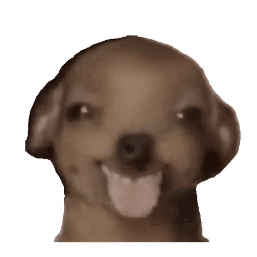 Memes 2025 5
