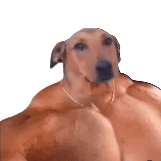 Memes 2025 7