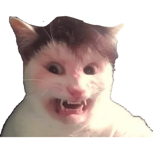 Memes 2025 4