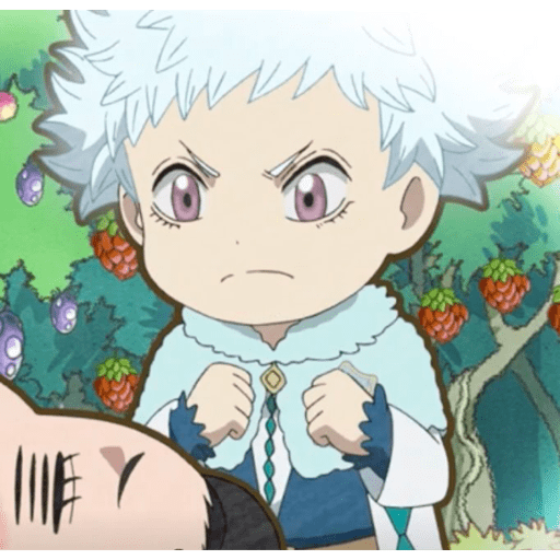 Black clover:) 17
