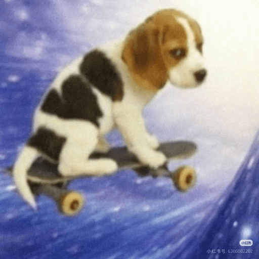 Cachorros óculos 17