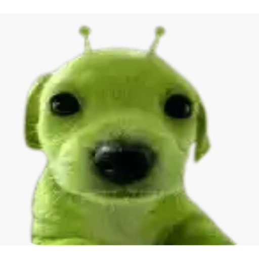 Cachorros óculos 14