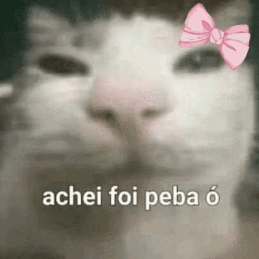 Ovo safado cuidado gato kkk 21