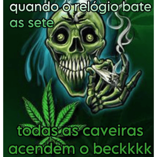 Ovo safado cuidado gato kkk 15