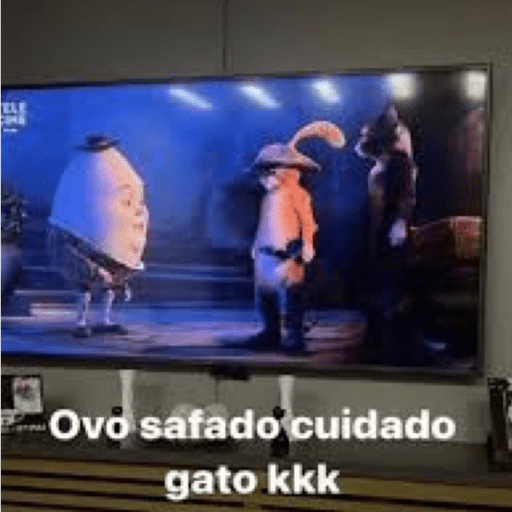 Ovo safado cuidado gato kkk 29