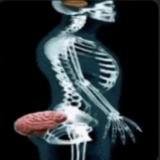 Ig gifs 19
