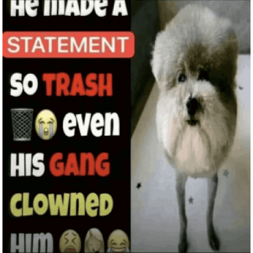 Ig gifs 2