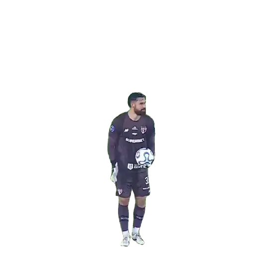 Animadas 13