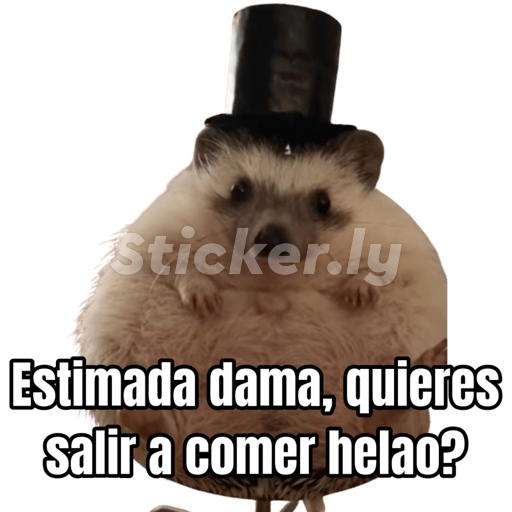 Fino señores 16