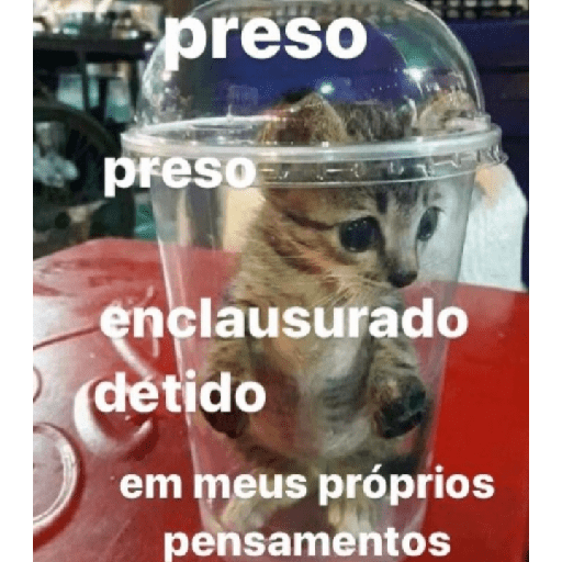 Mestre de cerimônia 23