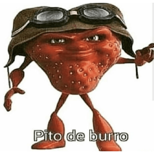 Mestre de cerimônia 14