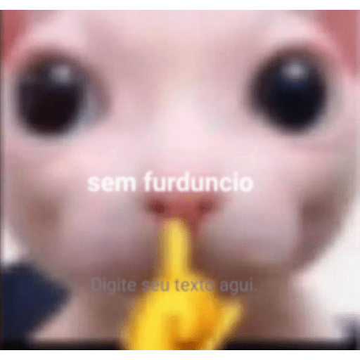 Mestre de cerimônia 22