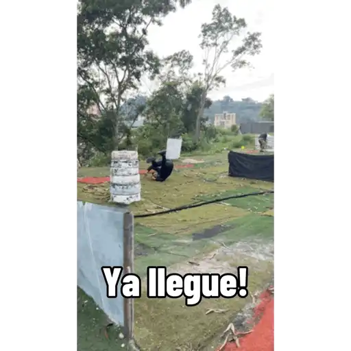 Pelekat