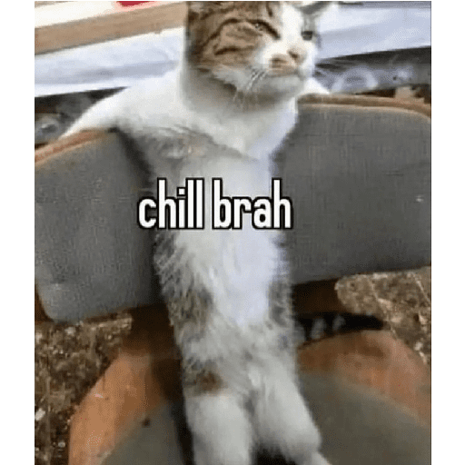 Stickers #12 29