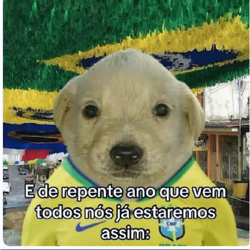 Nao entendi  6