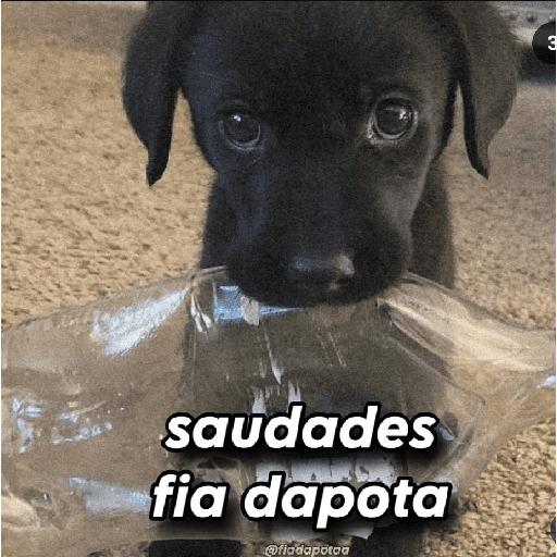 Nao entendi  23