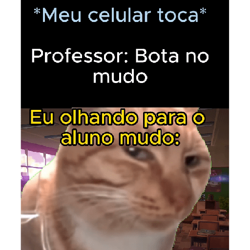 Seje menas 13