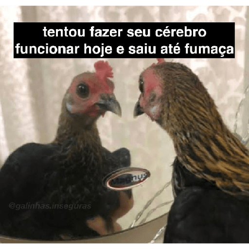 Seje menas 14