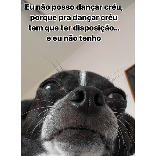 Seje menas 15
