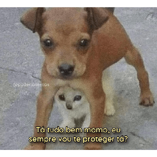 Seje menas 18
