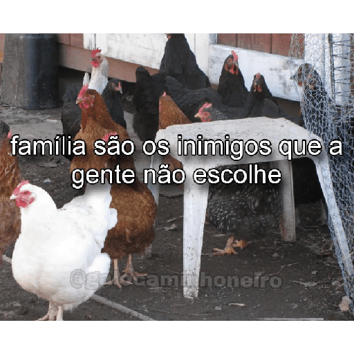 Seje menas 19