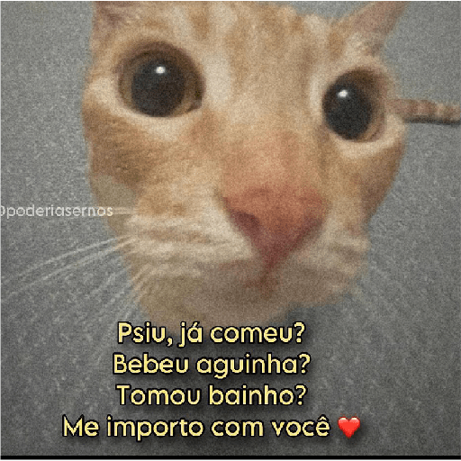 Seje menas 21