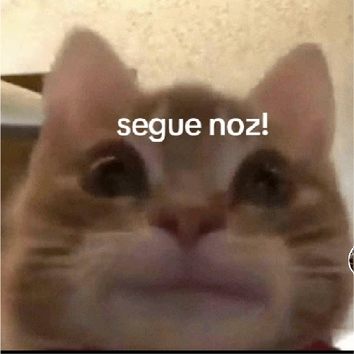 Seje menas 22