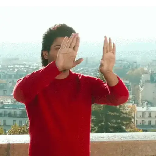 Alluarjun 6