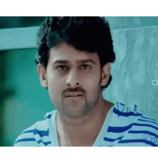 Alluarjun 13