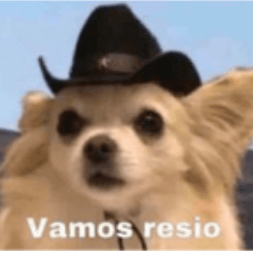 Perritos 5